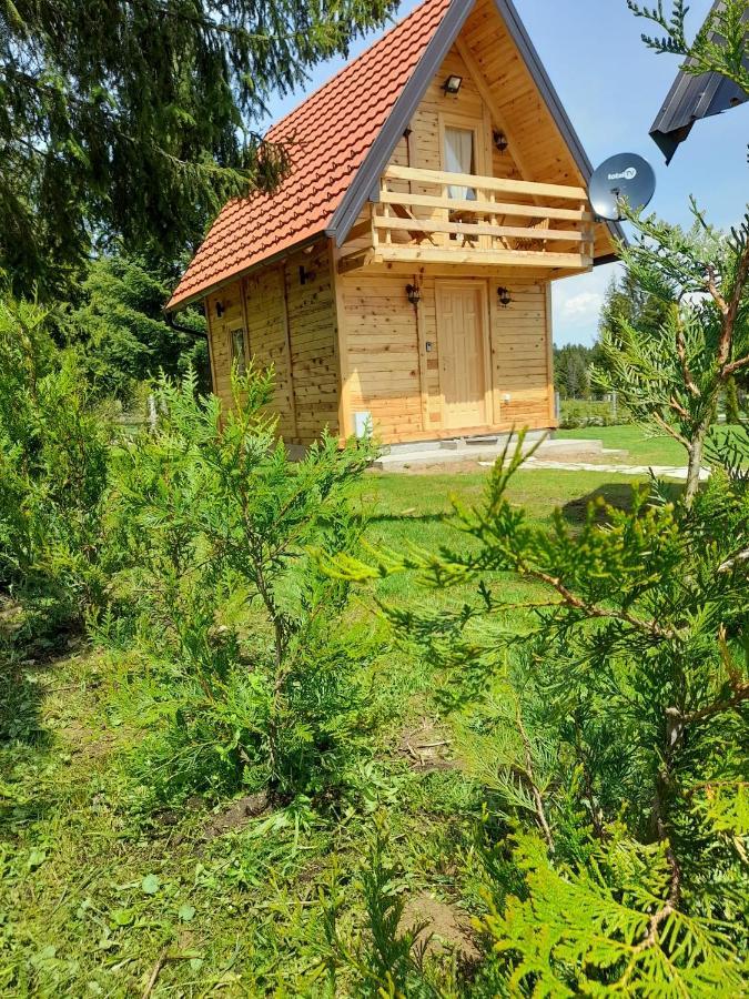 Villa Tisina Tare Bajina Basta Exterior foto